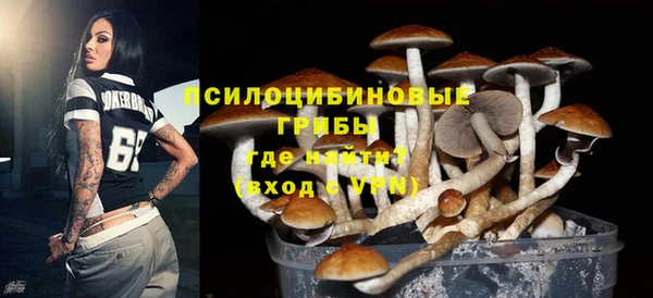 гидропоника Алзамай