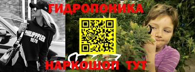 гашишное масло Аргун
