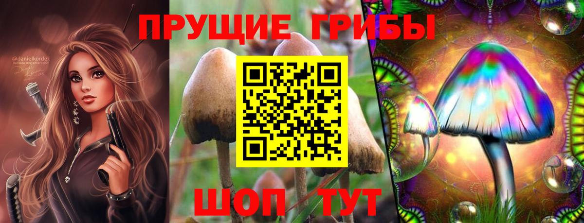 Псилоцибиновые грибы ЛСД Лесосибирск