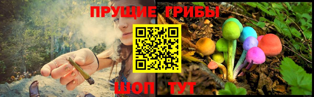 Псилоцибиновые грибы Magic Shrooms  Лесосибирск 